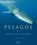 Pelagos