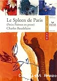 Le spleen de Paris